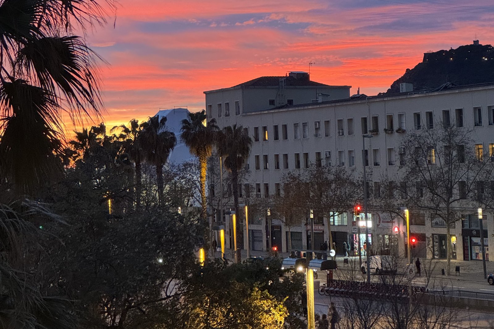 Pink and orange sunset over the rooftops and palms of Barceloneta, seen from the flat